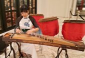 Musik Guzheng Erhu Pipa Cisara