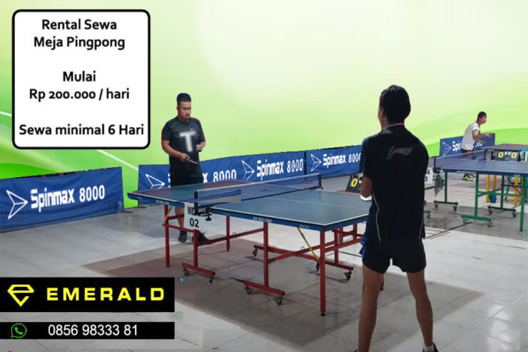 Rental sewa tenis meja pingpong murah